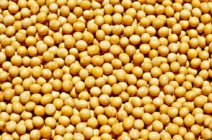 Aplicativo ajuda produtor de soja a enfrentar escassez de fertilizantes