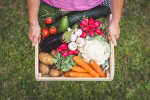 Segurança alimentar será tema principal de debate entre vários países