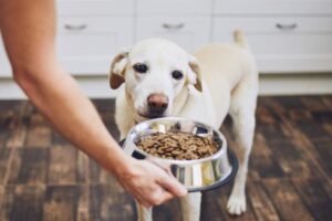 Mapa identifica ingrediente contaminado em outros produtos de alimentação animal
