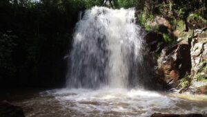 Turismo rural é tema de congresso em Cascavel
