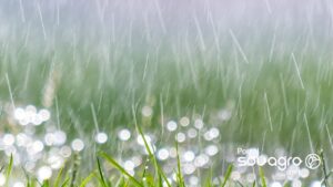 Saiba se ainda terá chuva no PR nesta sexta-feira