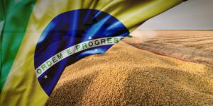 Eleições 2022: cooperativas se posicionam a favor de quem defende o agronegócio