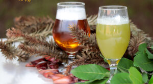 Que tal aprender a fazer cervejas de pinhão e erva-mate?