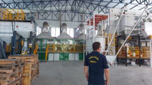 Auditores fiscalizam produção e suspendem comercialização de 15 toneladas de sementes