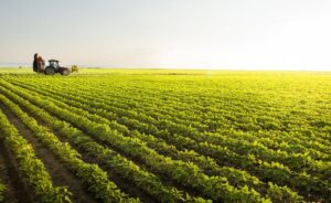 Valor Bruto da Produção Agropecuária é estimado em R$ 1 trilhão