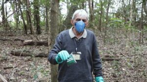 Praga rural: técnico explica como fazer o controle de formigas cortadeiras