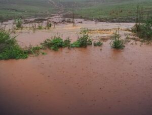 Chuva intensa deixa rastro de destruição nas lavouras do Paraná
