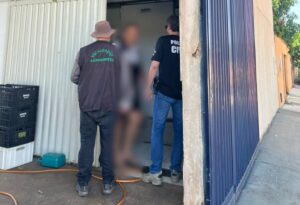 Polícia apreende mais de 200 quilos de pescados em peixaria clandestina