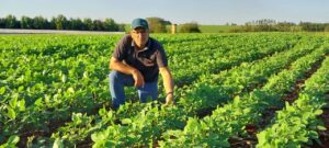 “É uma indústria a céu aberto e os riscos são por nossa conta”, desabafa produtor rural, sobre previsão de geada para o PR
