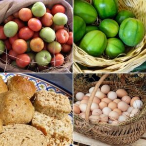 Congresso virtual vai abordar Ciência e Tecnologia de Alimentos