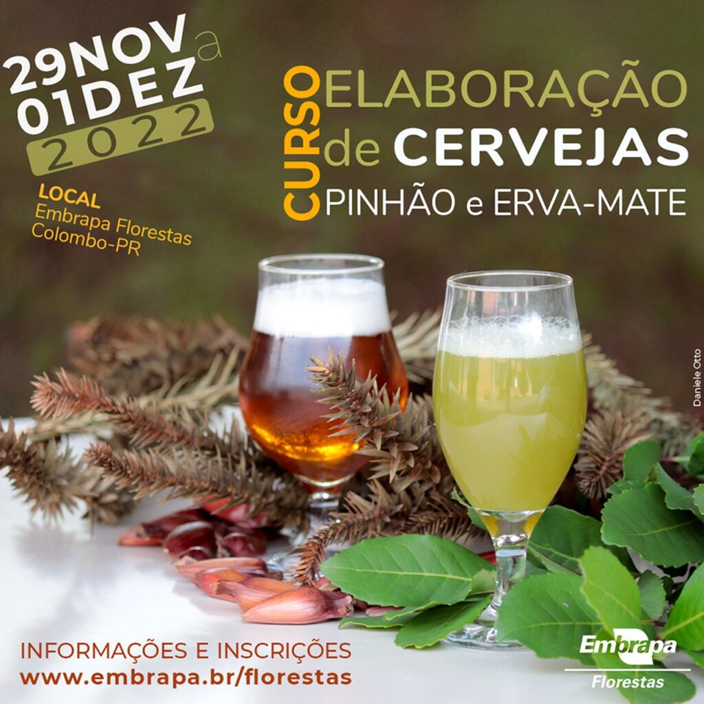 cerveja
