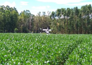 Plantio direto pode aumentar eficiência do uso de água nas lavouras