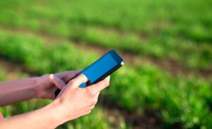 Agricultores podem emitir contrato de concessão de lote pela internet