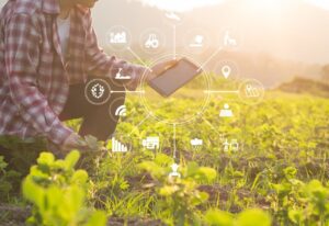 Inovações do agronegócio brasileiro serão apresentadas na China