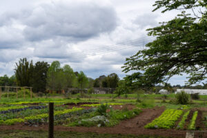 Conheça o centro de tecnologia para Agricultura 4.0 do Paraná