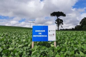 Paraná começa trabalhos da rede Alerta Ferrugem da soja na safra 2022/2023