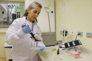 Solução desenvolvida no Paraná identifica resíduos de soja em alimentos