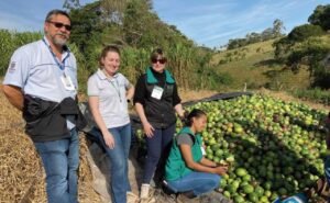 Maracujá tem novo manejo para diminuir estragos causados por virose no PR
