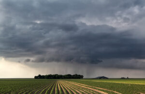 Mudanças no clima podem impactar produção agrícola nos próximos meses