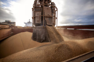 No primeiro mês de 2023, exportações de produtos do agronegócio ultrapassam US$ 10 bilhões