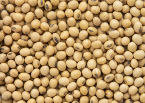Custos de produção da soja serão atualizados no Paraná