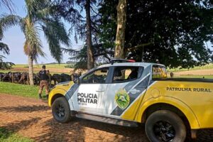 Com foco em crimes rurais, operação termina com mais de 100 pessoas presas no PR