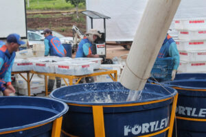 Novos empreendimentos no Sudoeste do PR impulsionam o agro