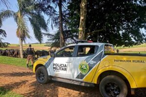 Ladrões fazem família refém e roubam R$ 200 mil em gado no Paraná