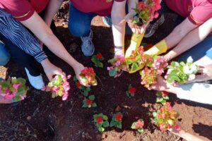 Rios limpos e plantio de flores: ação de preservação ambiental é realizada no Oeste do Paraná