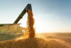 Proposta de taxação do agro no PR: entenda a “conta” que todo mundo vai pagar