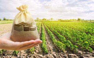 Plano Safra: crédito rural superou R$ 148 milhões até outubro