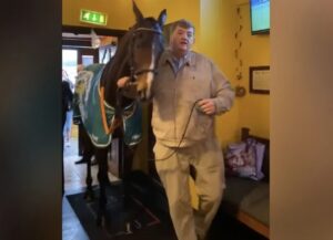 Homem leva cavalo para bar e é criticado por ONG de proteção animal