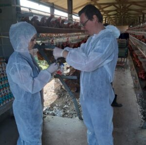 Gripe aviária: com casos na América do Sul, MT reforça segurança na produção de aves