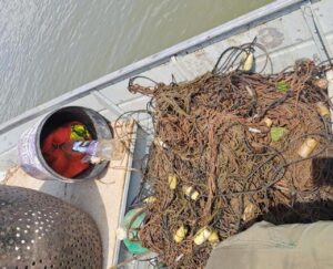 Peixes são soltos e itens de pesca apreendidos no MT