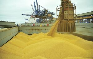“Taxar o alimento brasileiro é fechar portas”, diz deputada sobre projeto para taxação de produtos do agro