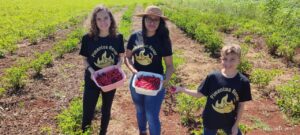 Da plantação de pimenta às geleias: família de Toledo empreende com delícias artesanais e sem conservantes