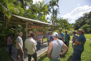 Programa incentiva produção de mel para aumentar a renda de agricultores no PR