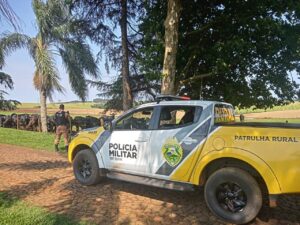 Roubo de gado está na mira da Patrulha Rural no Paraná