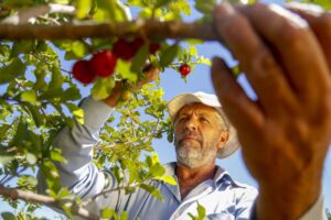 Produtores recebem prêmio que valoriza boas práticas do agronegócio