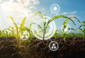 Programa vai acelerar desenvolvimento de soluções tecnológicas sustentáveis para o agronegócio