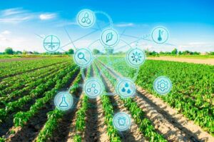 Estudo traz raio-x das startups do agro na América Latina