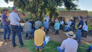 Giro Técnico da Soja: equipes da Embrapa visitam propriedades em 17 municípios do Paraná
