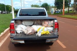 Quase uma tonelada de pescado irregular é apreendida em caminhonete