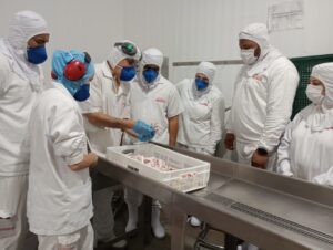 Para melhorar a produtividade, avicultores visitam frigorífico e acompanham de perto o processo de produção