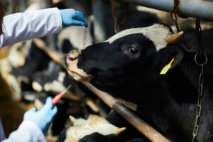 Paraná é o primeiro estado do Brasil a aprovar plano para destinação correta de medicamentos veterinários