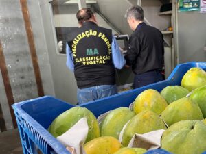 Alimentos sem rastreio não poderão mais entrar na maior central de abastecimento do Brasil