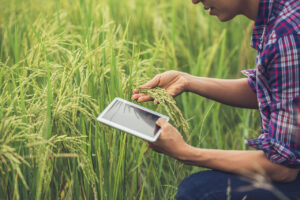 Soluções de tecnologia para o agro são apresentadas em conferência internacional