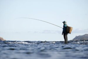 Consultoria vai avaliar estoque de recursos importantes para as pescarias no Sul e no Sudeste do Brasil
