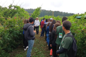 Alunos conhecem tecnologias para cultivo de diversas espécies de frutas