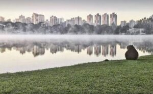 Veja até quando o frio continua no Paraná
